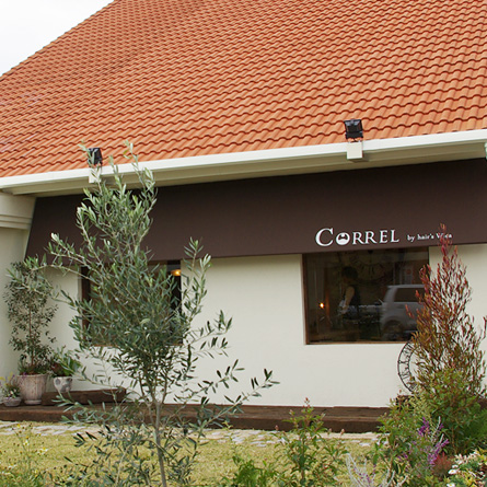 CORREL - Gallery